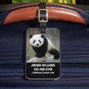 Search for china travel accessories Panda