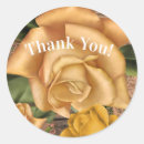 Search for yellow wood stickers Elegant