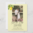 Search for colorful save the dates Summer
