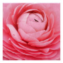 Search for 20x20 posters Paper