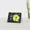Search for backlit Flower