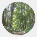 Search for forest walk stickers Woodlands