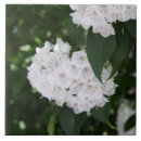 Search for native tiles Floral