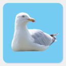 Search for sunbathing stickers Wildlife