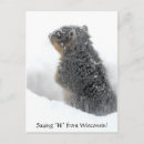 Search for snowstorm postcards Funny