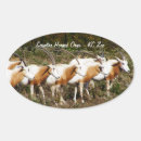 Search for horned stickers Animals