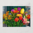 Search for orange and white postcards Yellow