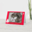 Search for merry meow christmas cards Kitty