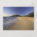 Search for makena postcards Hawaii