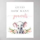Search for guess how many peanuts Floral