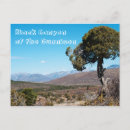 Search for gunnison postcards Photograph