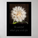 Search for make a wish posters For her