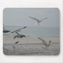 Search for florida birds mousepads Beach