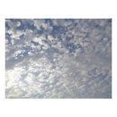Search for sky blue background posters White