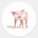 Search for baby piglet stickers Farm