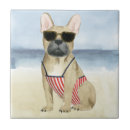 Search for canine tiles Beach