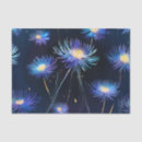 Search for blue aster Watercolor