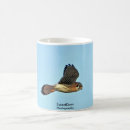 Search for kestrels mugs Wildlife
