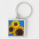 Search for fences key rings Landscape