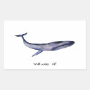 Search for blue whale stickers Animal