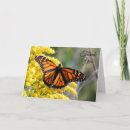 Search for monarch butterfly cards Bug