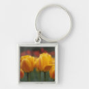 Search for horticultural key rings Botany