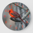 Search for birder art Birdwatcher