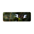 Search for male return address labels Animal