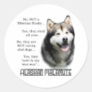 Search for alaskan stickers Malamute