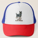 Search for australian cattle dog hats Wolf