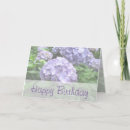 Search for hydrangeas birthday cards Garden