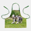 Search for boston terrier dog aprons Dogs