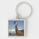 Search for western key rings Nature