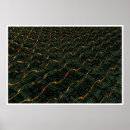 Search for compute posters Dark