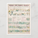 Search for chart postcards Botanical