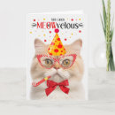 Search for munchkins Cat lover