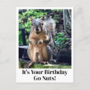 Search for go nuts postcards Squirrel