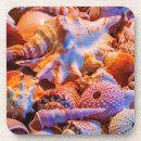 Search for urchin coasters Beach