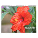 Search for tropical flowers calendars Nature
