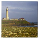Search for pigeon tiles Pigeon point lighthouse