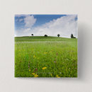 Search for meadows badges Tree