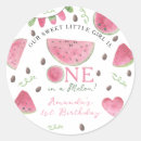 Search for cute melon stickers One in a melon