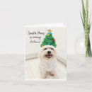 Search for pawed christmas cards Santa