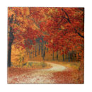Search for seasons tiles Autumn