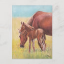 Search for mares postcards Horse