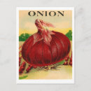 Search for cooking chef postcards Vegetables