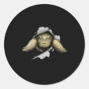 Search for love turtles stickers Tortoise