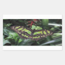 Search for close rectangle stickers Macro