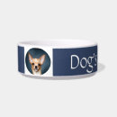 Search for chihuahua dog bowls Animal