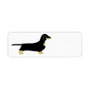 Search for black and tan dachshund return address labels Doxie